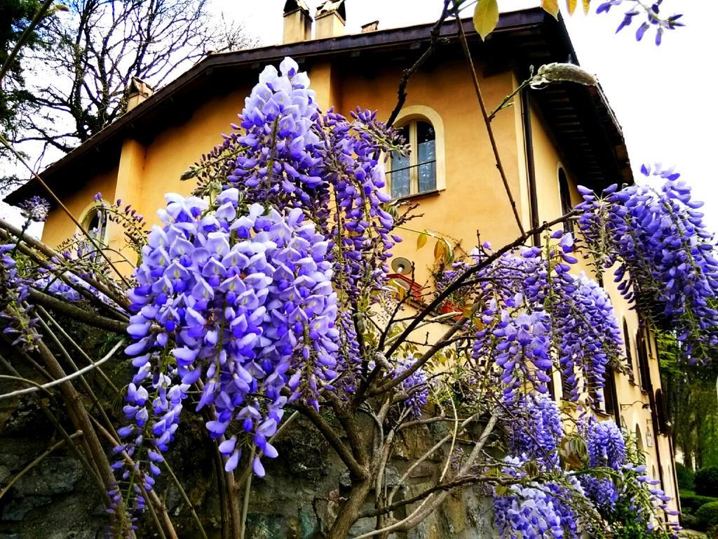La Locanda Del Borgo Пьетралунга Экстерьер фото